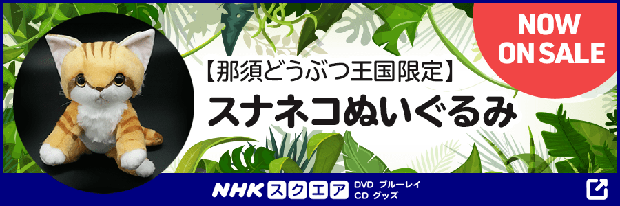 【那須どうぶつ王国限定】スナネコぬいぐるみ