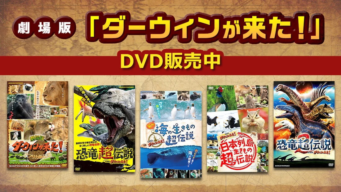 みんなのダーウィン！いきものコミュニティ