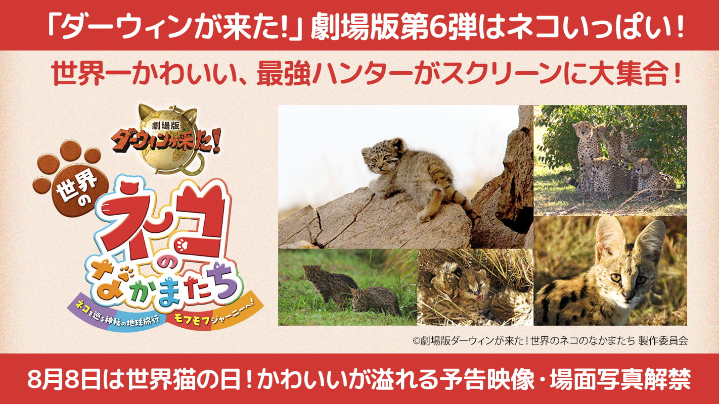 みんなのダーウィン！いきものコミュニティ