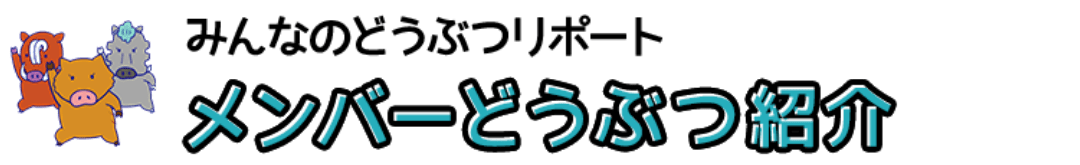 みんなのどうぶつリポート メンバー動物紹介