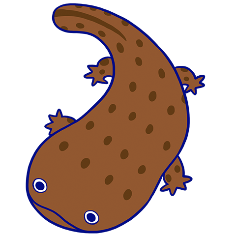 サンショさんのキャラクター画像