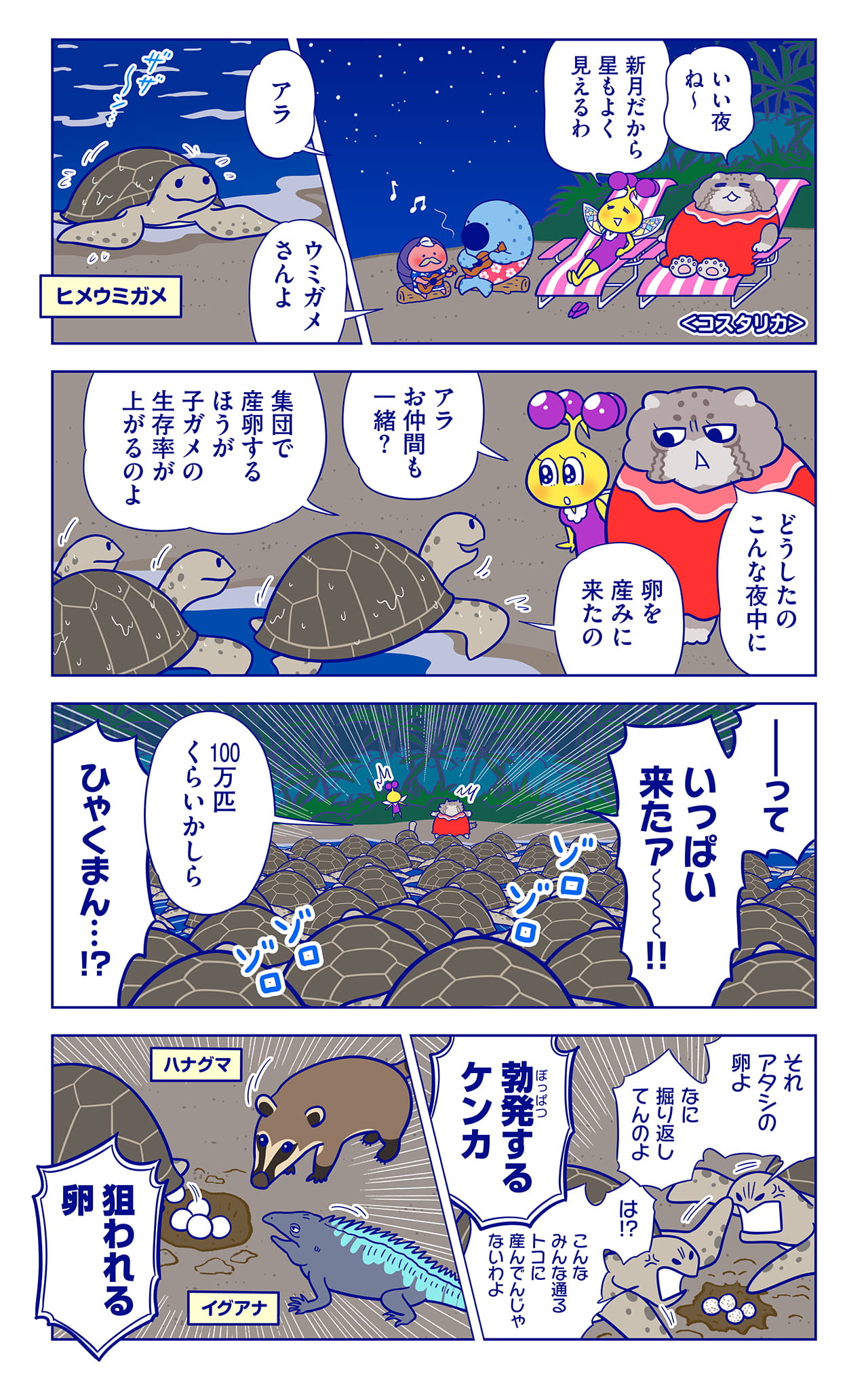ヒメウミガメについての漫画1枚目
