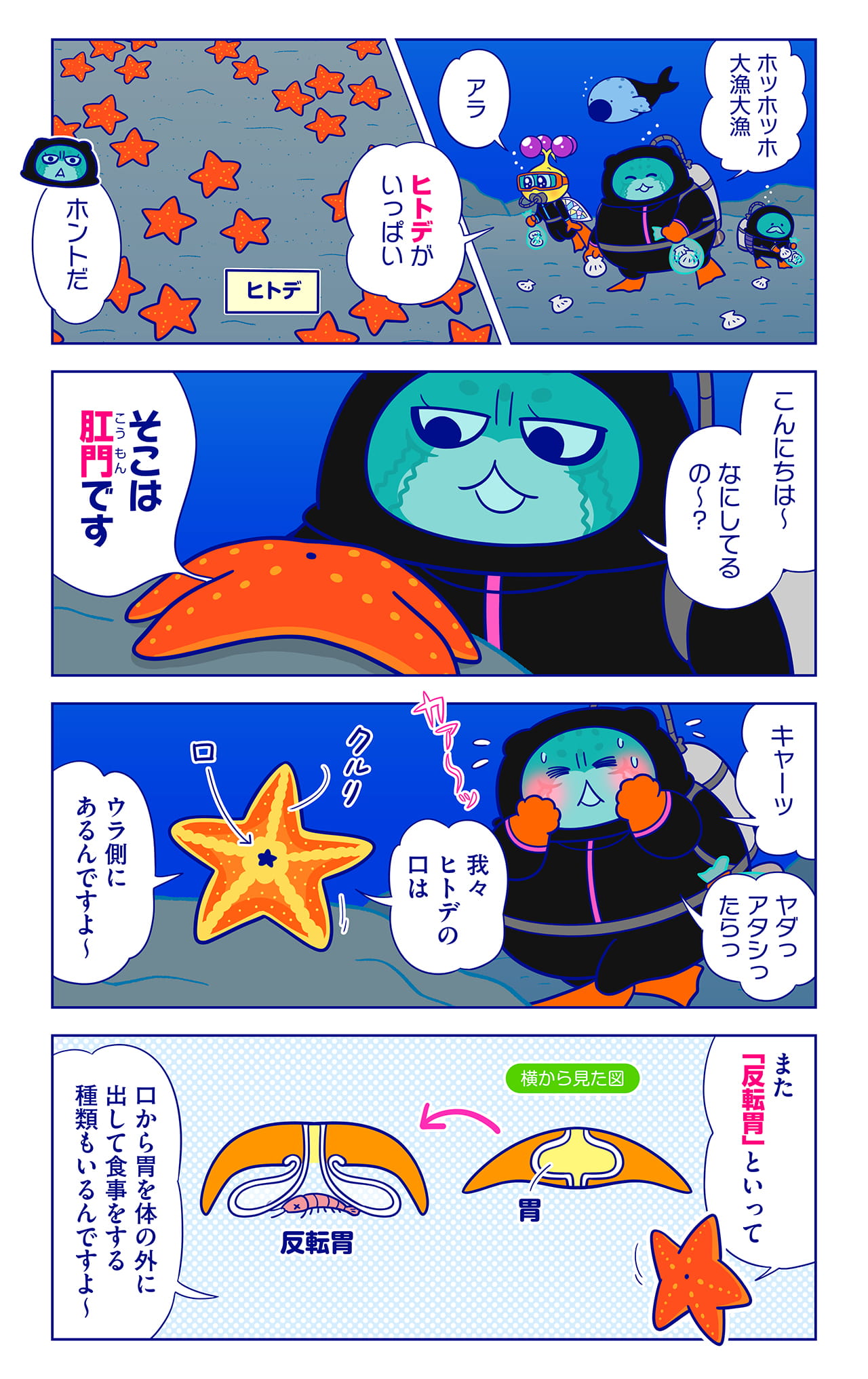 ヒトデについての漫画1枚目