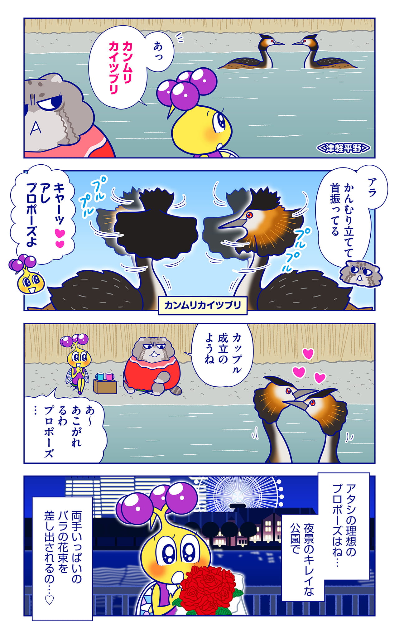 カンムリカイツブリについての漫画1枚目