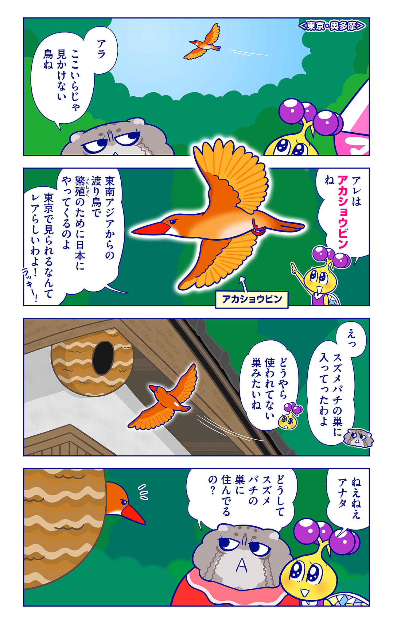 アカショウビンについての漫画1枚目