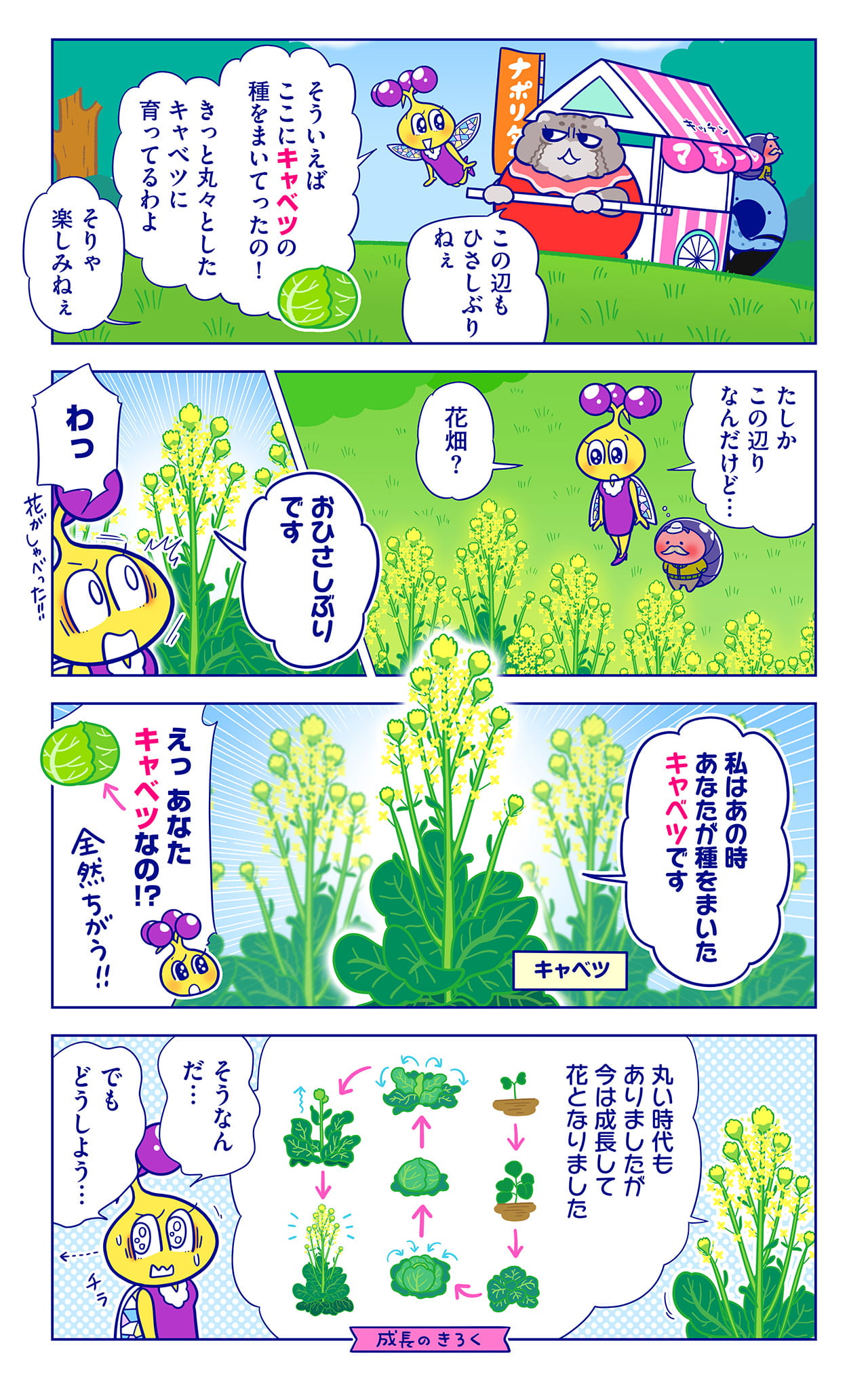 キャベツについての漫画1枚目