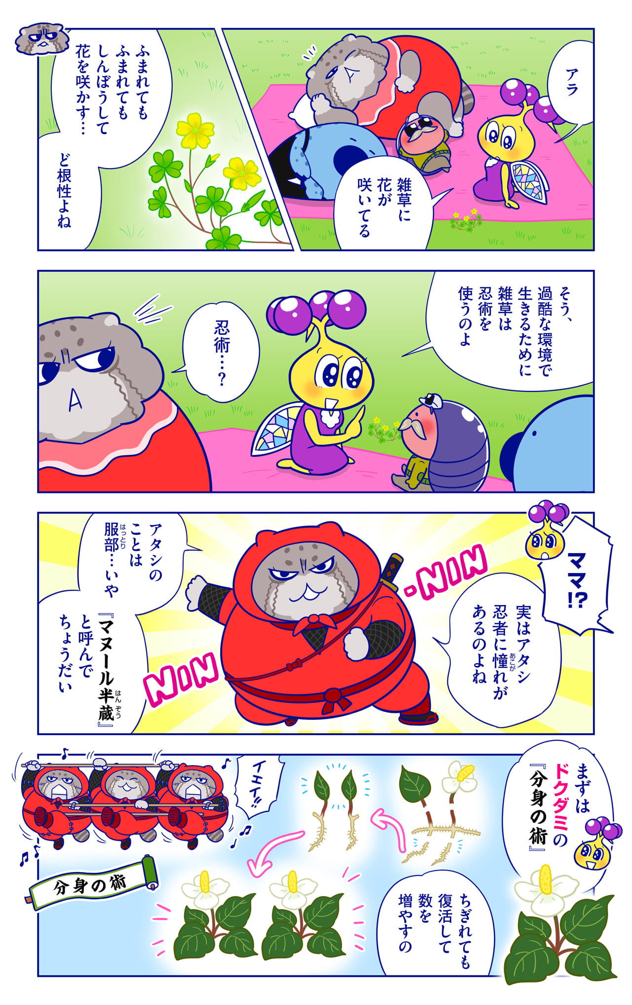 ど根性植物についての漫画1枚目