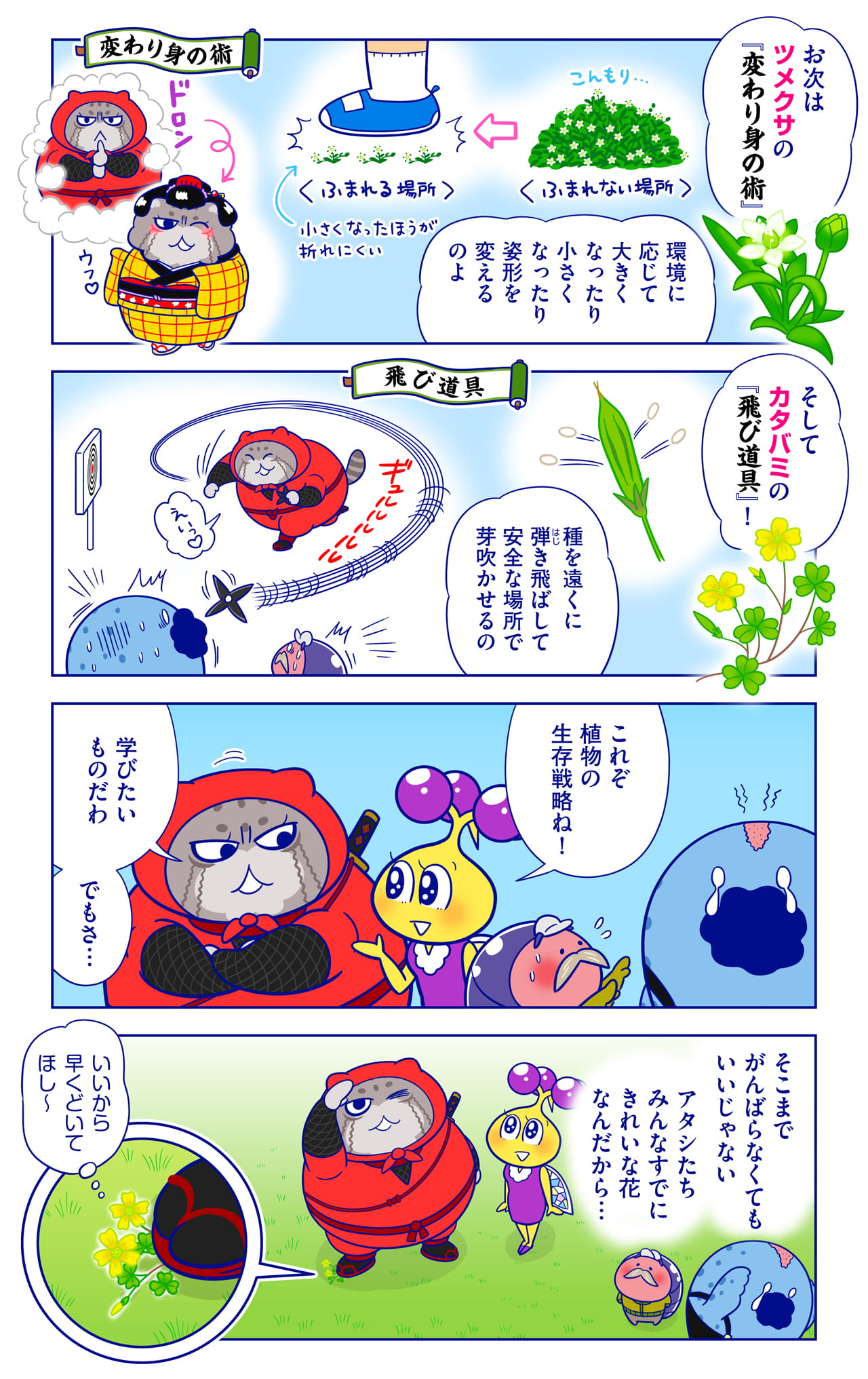 ど根性植物についての漫画2枚目