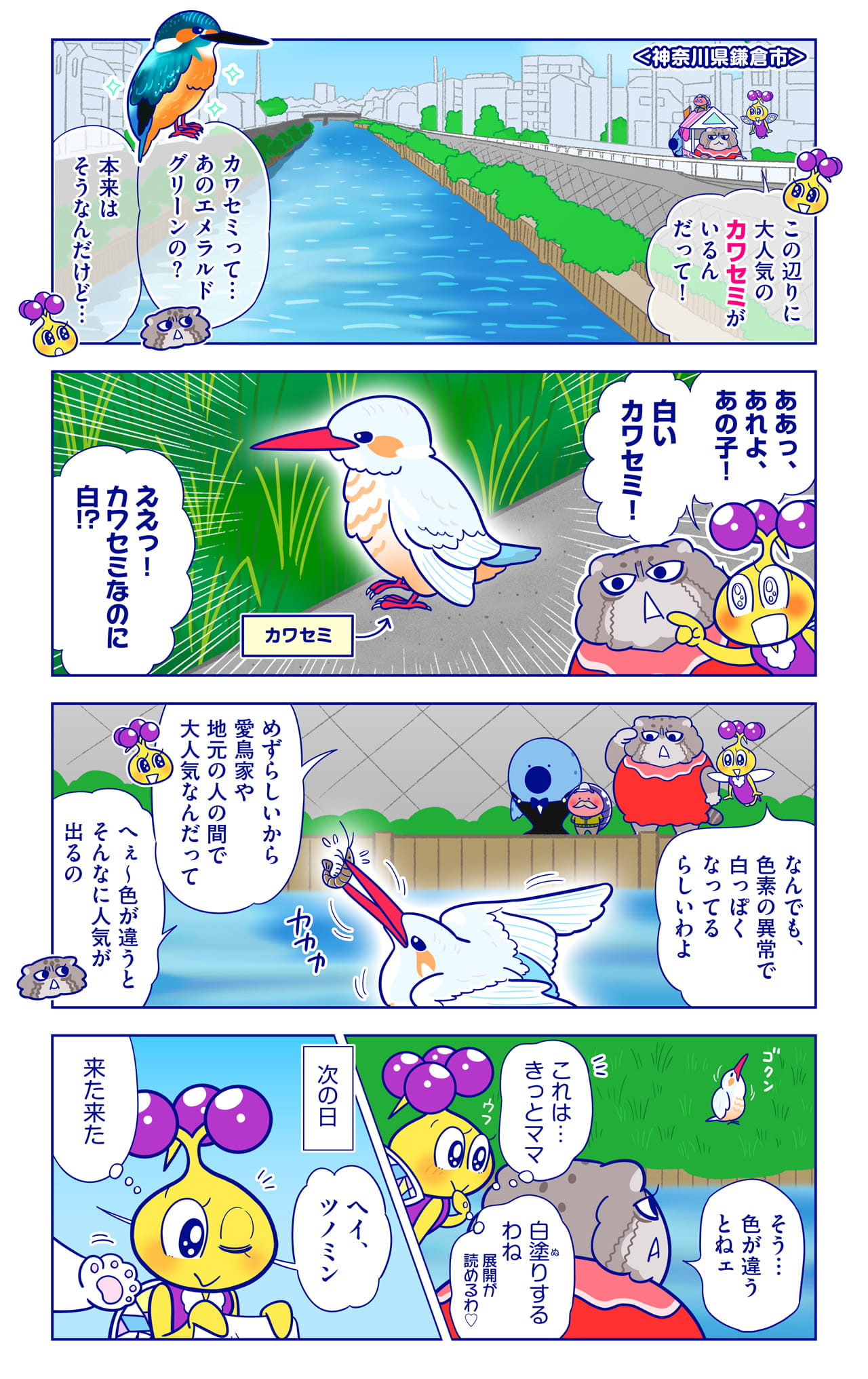 カワセミについての漫画1枚目