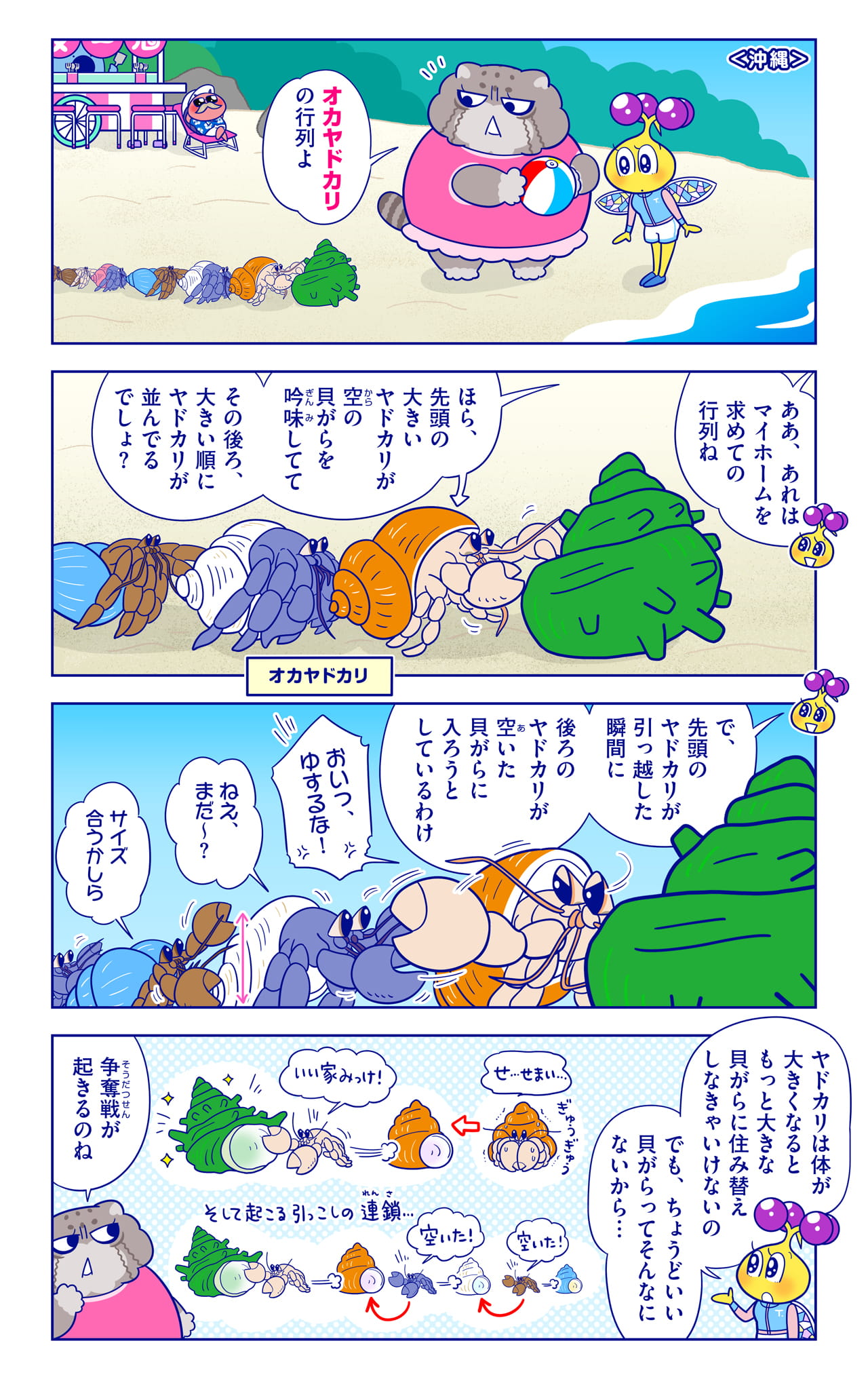 オカヤドカリについての漫画1枚目