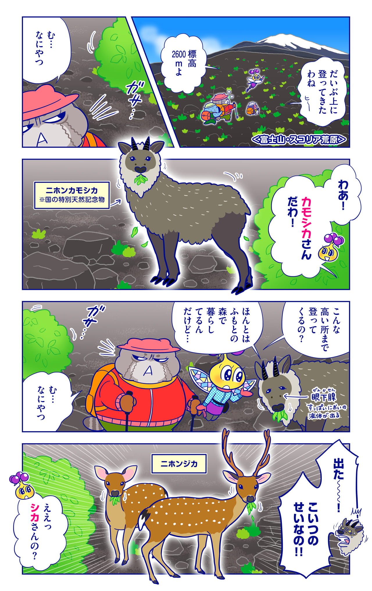 ニホンカモシカについての漫画1枚目