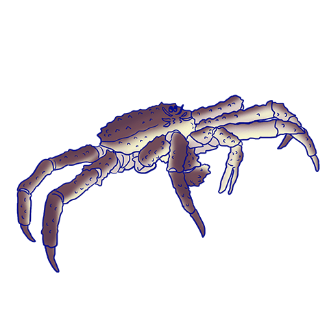 タラバガニのキャラクター画像