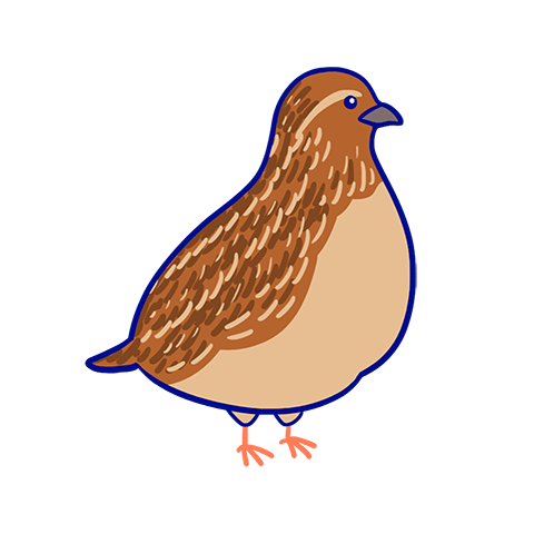 ウズラのキャラクター画像