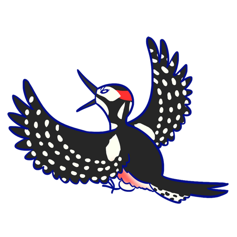 アカゲラのキャラクター画像