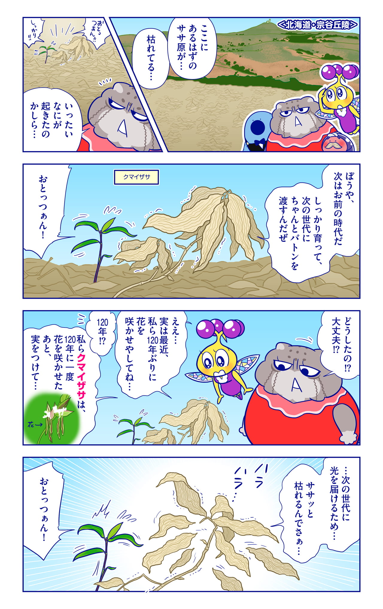 クマイザサについての漫画1枚目