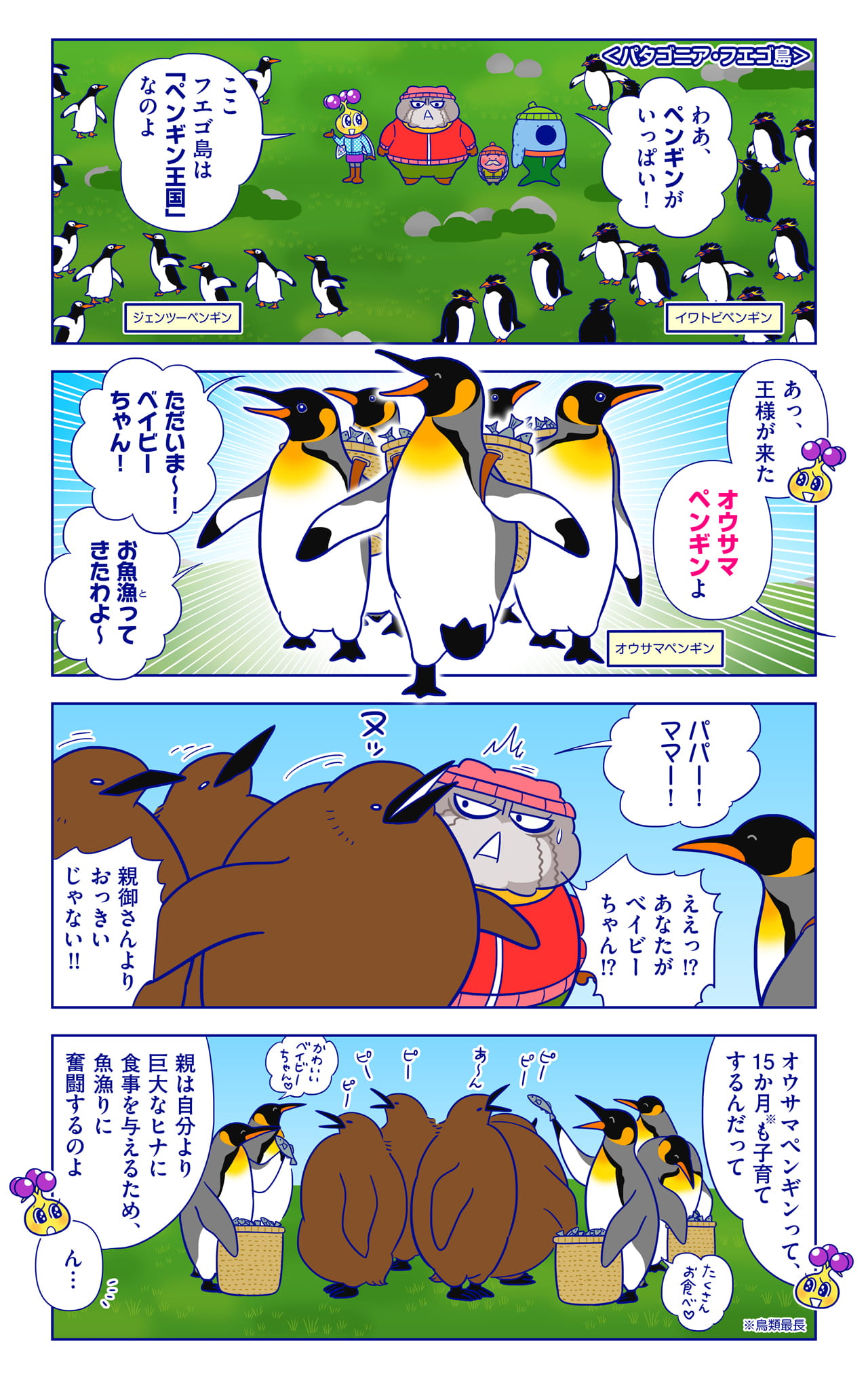 オウサマペンギンについての漫画1枚目