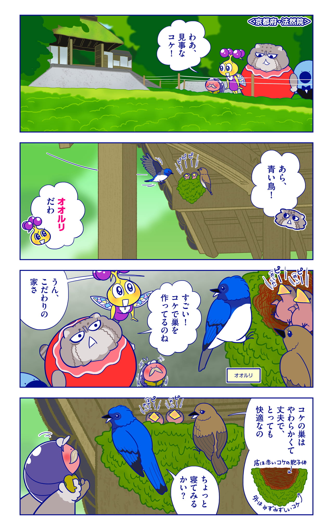 オオルリについての漫画1枚目