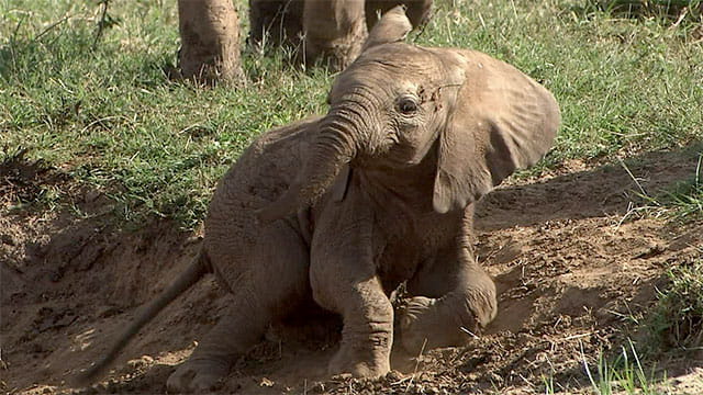 動画サムネイル