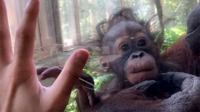 動画サムネイル