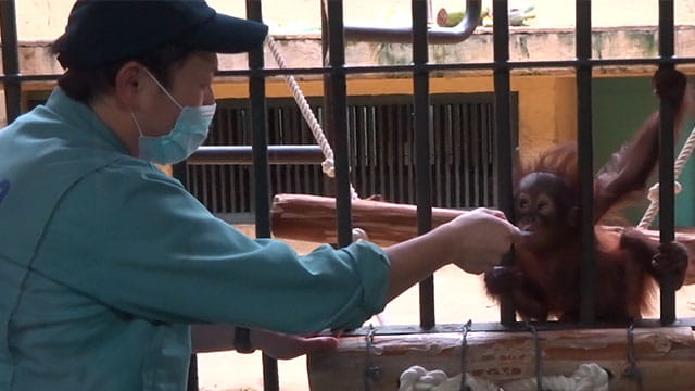 動画サムネイル