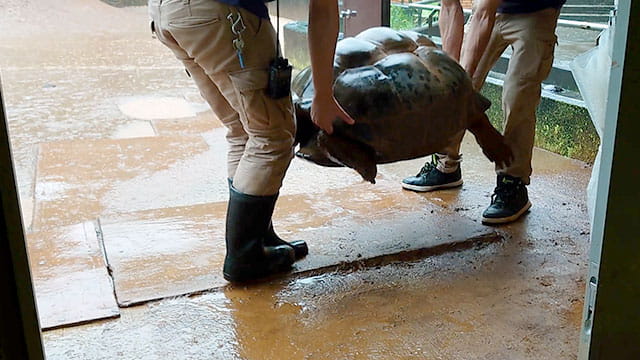 動画サムネイル