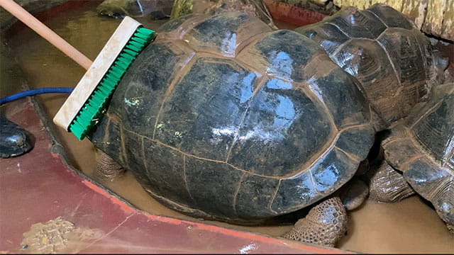 動画サムネイル