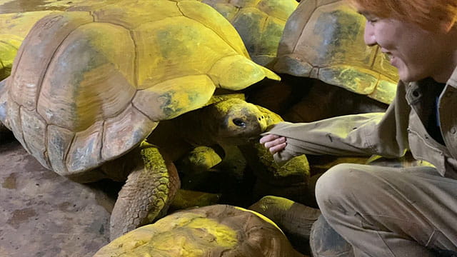 動画サムネイル