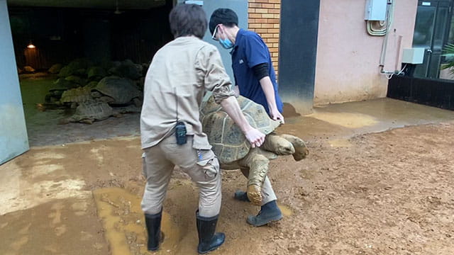 動画サムネイル