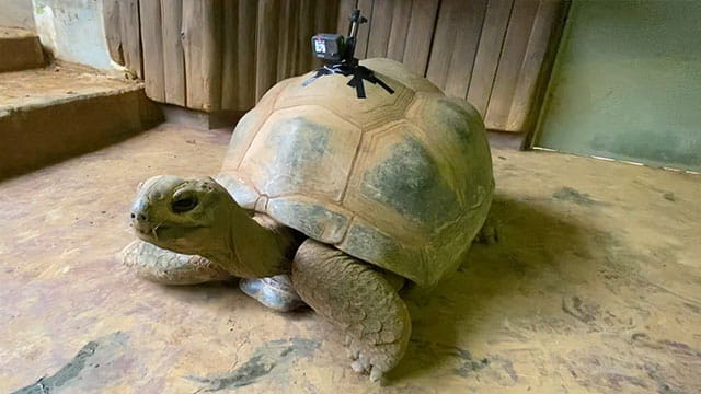 動画サムネイル
