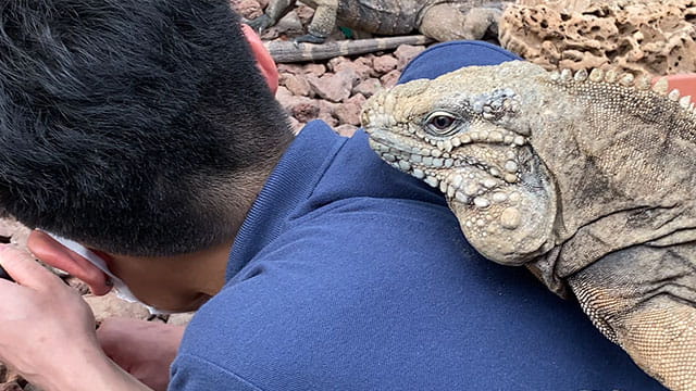 動画サムネイル