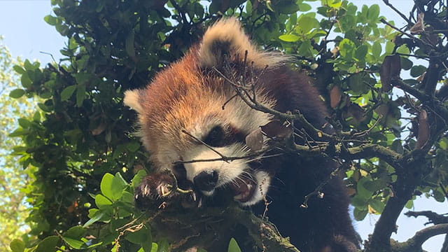 動画サムネイル