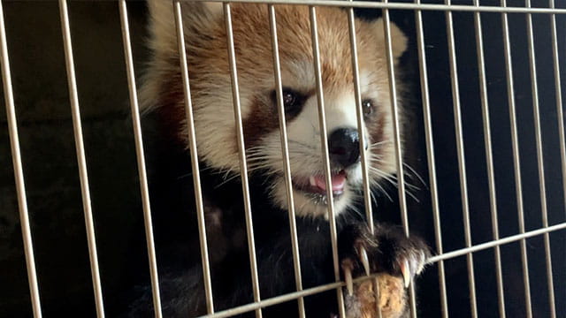 動画サムネイル