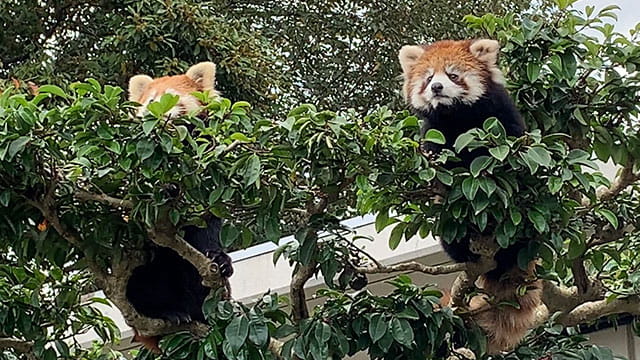 動画サムネイル