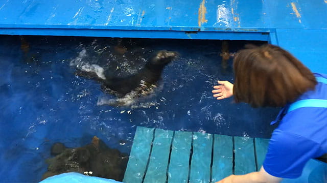 動画サムネイル