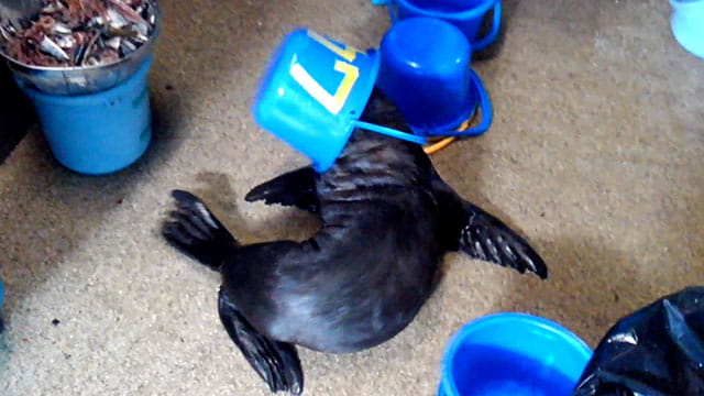 動画サムネイル