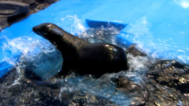 動画サムネイル