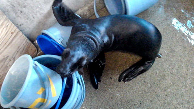 動画サムネイル