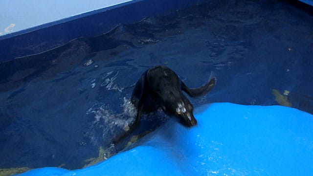 動画サムネイル
