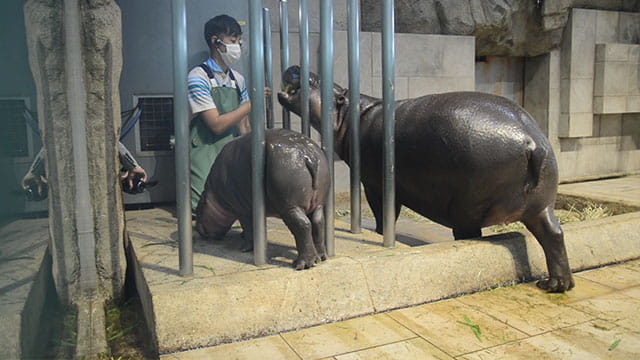 動画サムネイル