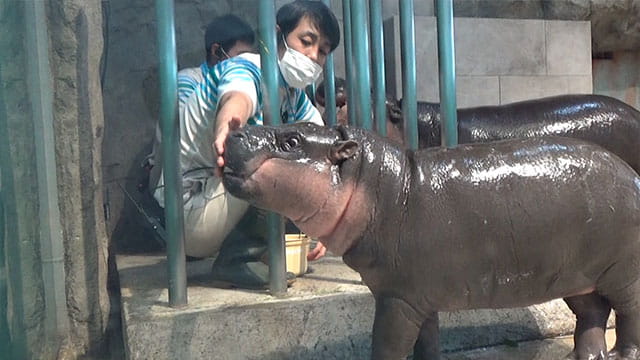 動画サムネイル
