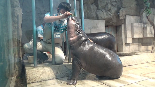 動画サムネイル