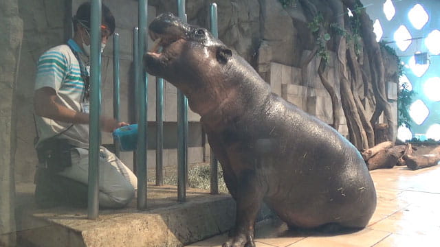 動画サムネイル