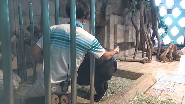 動画サムネイル