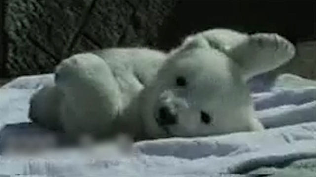 動画サムネイル