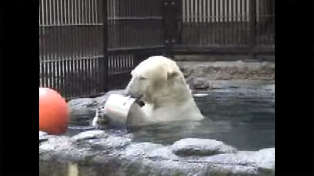 動画サムネイル