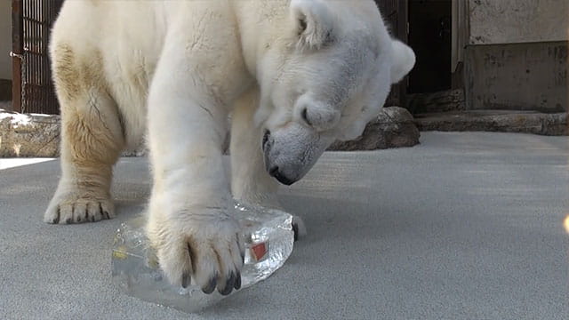 動画サムネイル