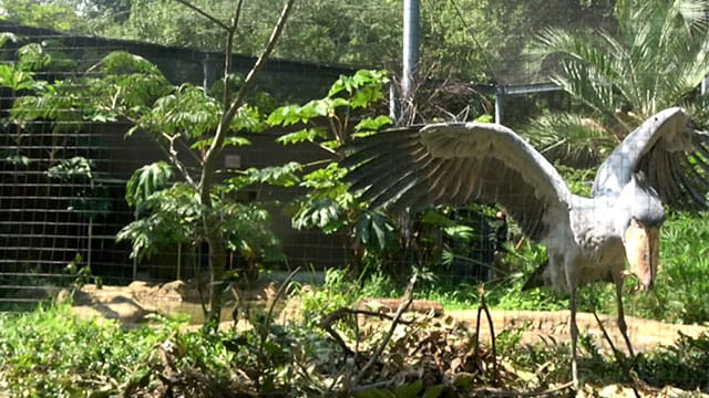 動画サムネイル