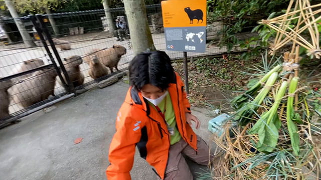 動画サムネイル