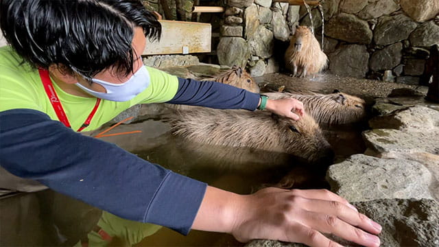 動画サムネイル