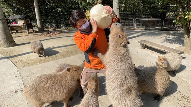 動画サムネイル